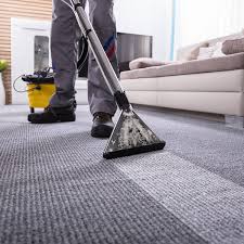 carpet cleaning stanley steemer pet