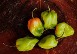 The habanero is a variety of chili pepper. Habanero Chile A Spicy Delight Barrio Vivo