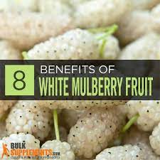 white mulberry fruit extract benefits