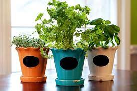 How To Plant An Indoor Herb Garden Diy