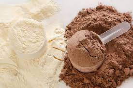 how much is in a scoop of protein