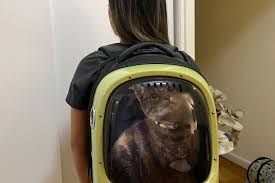 the 6 best backpack cat carriers of