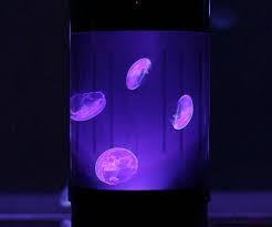 Jellyfish Cylinder Aquarium