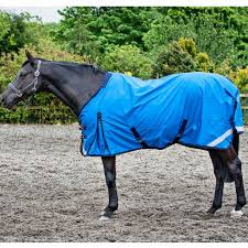 lightweight turnout rug review review