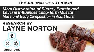 nutrition biolayne