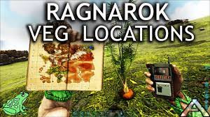 ragnarok vegetable location you