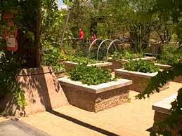 Las Vegas Summer Vegetable Garden How