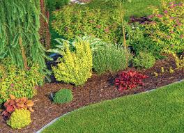 how to mulch step by step guide for a
