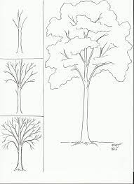 Деревья рисунок карандашом для начинающих - 48 фото
