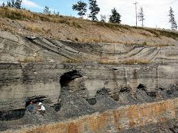 Sedimentary Structures Wikipedia
