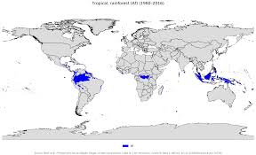 Tropical Rainforest Climate Wikipedia