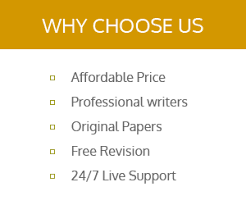 argument and opinion essays professional best essay writer     BeforeWriting