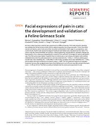 Register cat at this link. Pdf Facial Expressions Of Pain In Cats The Development And Validation Of A Feline Grimace Scale