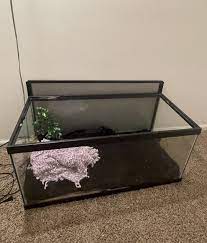 40 gallon reptile or fish terrarium