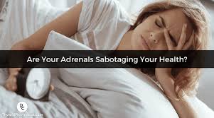 adrenals saboing your health
