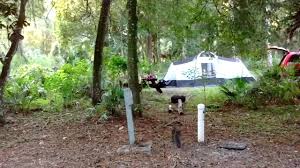 Maybe you would like to learn more about one of these? Camping With Cats Hillsborough State Park Thonotosassa Fl State Parks Camping With Cats Hillsborough