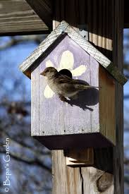 Backyard Habitat Birdhouse Plans