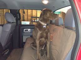 Rear Seat Cover For Dogs Ford F150