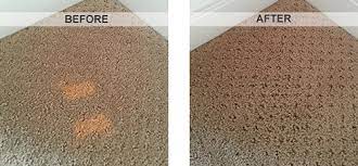 before afters higens carpet cleaning