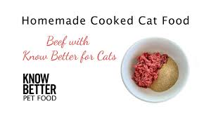 how to make homemade cat food know