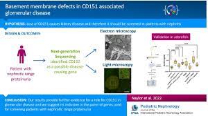 Cd151 Associated Glomerular Disease