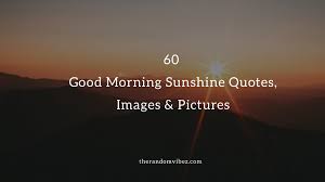 Looking for beautiful you are my sunshine quotes? 60 Good Morning Sunshine Quotes Images Pictures
