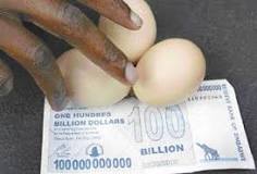 Three Eggs Cost $100 Bil. in Zimbabwe | The DONG-A ILBO