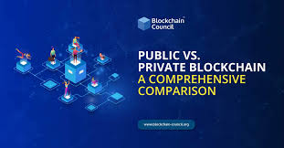 After the creation of bitcoin, the number of cryptocurrencies available over the internet is growing. Public Vs Private Blockchain A Comprehensive Comparison