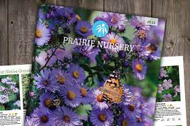 Native Plants Prairie Nursery