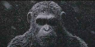 As the journey finally brings them. Ultim Ape Um War For The Planet Of The Apes 2017 Review Gwp