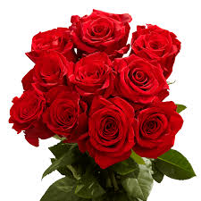 100 orted red roses beautiful fresh
