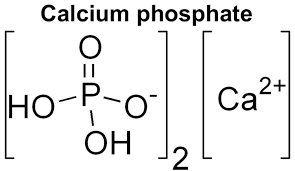 نتیجه جستجوی لغت [phosphate] در گوگل