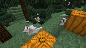 While the compound p4o10 has many names, its most common name is phosphorus pentoxide. Names For Wolves Suggestions Minecraft Java Edition Minecraft Forum Minecraft Forum