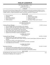Use the format and structure of this sample project management resume to create your own professional resume. Technical Project Manager Resume Examples Information Technology