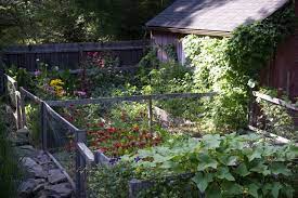 A Cook S Garden In Upstate New York