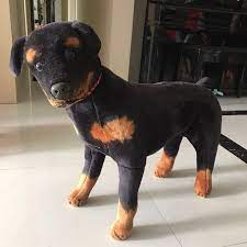 rottweiler black and brown toy dog life