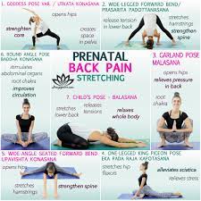 prenatal back stretches up to 59 off