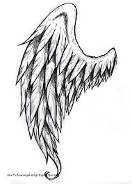 How To Draw Angel Wings Step By Step Easy 463 Best Angel Wings