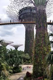 gardens by the bay attractions and 1