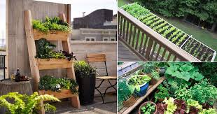 15 Deck Vegetable Garden Ideas To Grow