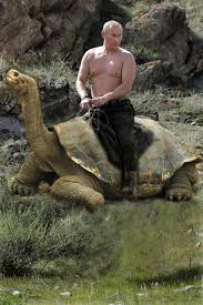 Actual footage of amazing leader vlad putin fighting evil american bear pig swine in fight promo from glorious motherland russia. Putin Riding A Bear Google Search Anatomie Selfmade