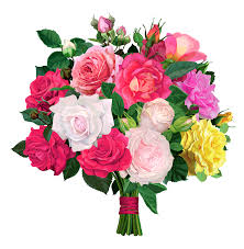 bouquet of flowers png images rose
