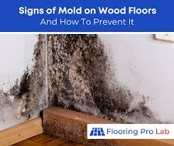 mold under hardwood floors
