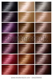 Color Chart Tints Hair Color Palette Stock Photo Edit Now