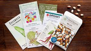 Best Places To Garden Seeds