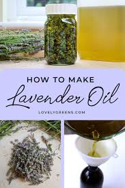 how to make lavender oil a step by