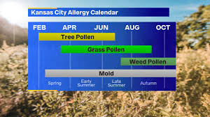 allergy report pollen mold count