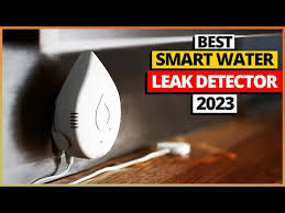 Best Smart Water Leak Detector Review