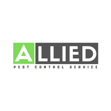 12 best el paso pest control services