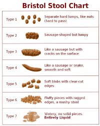 Bristol Stool Chart Lewis And Heaton 1997 Download